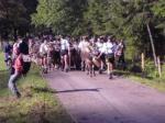 Bild 0